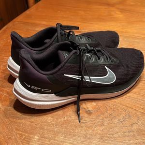 Nike Air Winflo 9 shoes